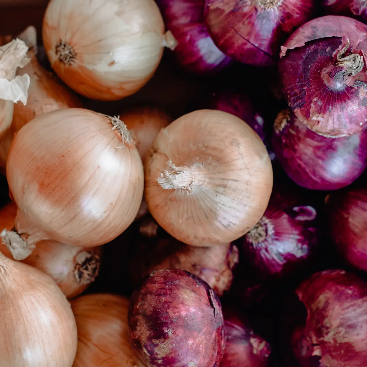 A selection of brown and red onions